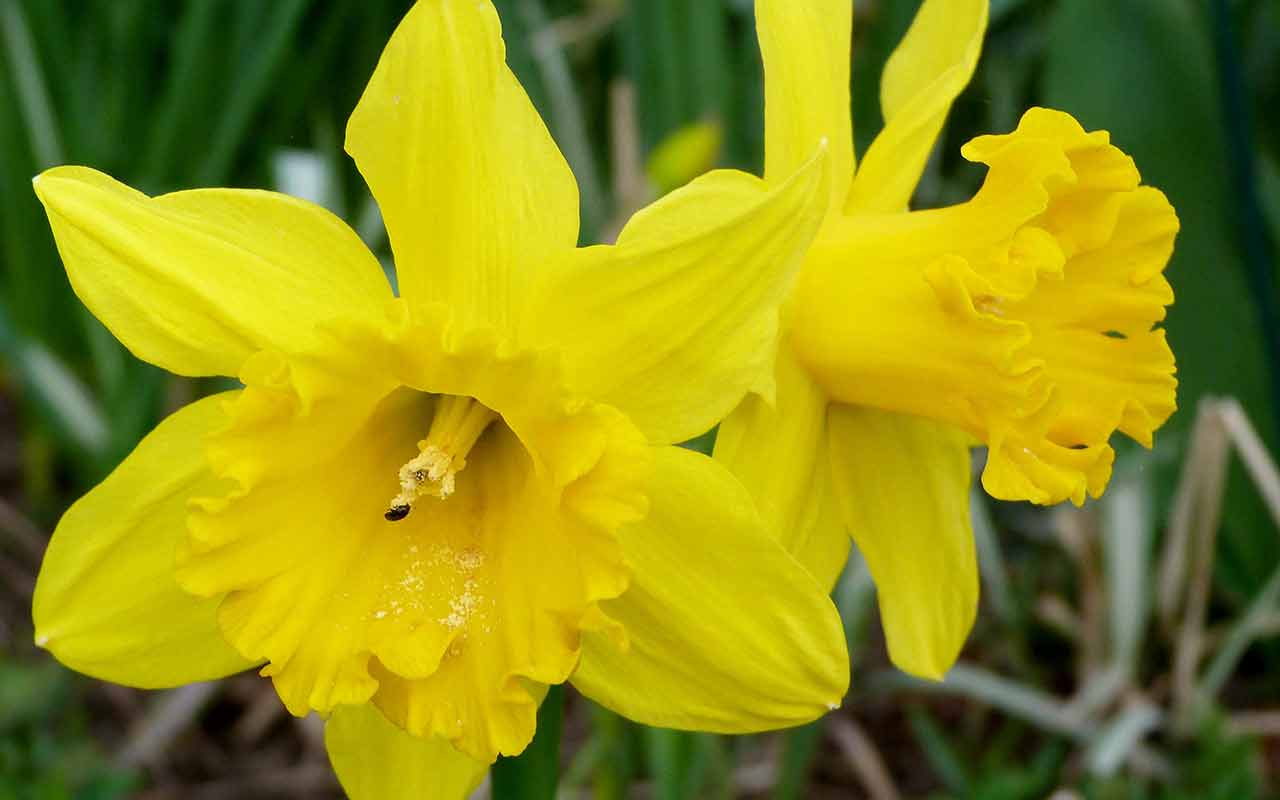 Be Ready for Spring