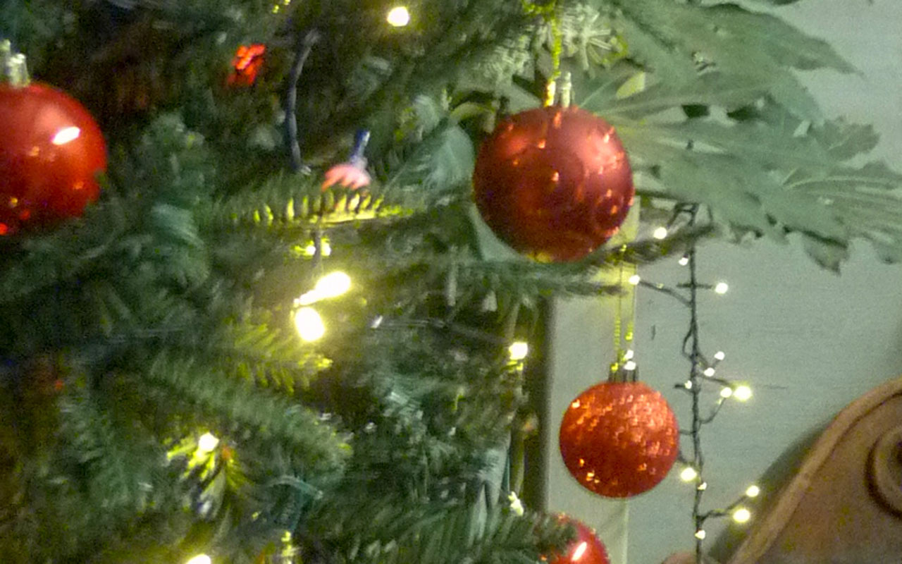 Christmas Trees