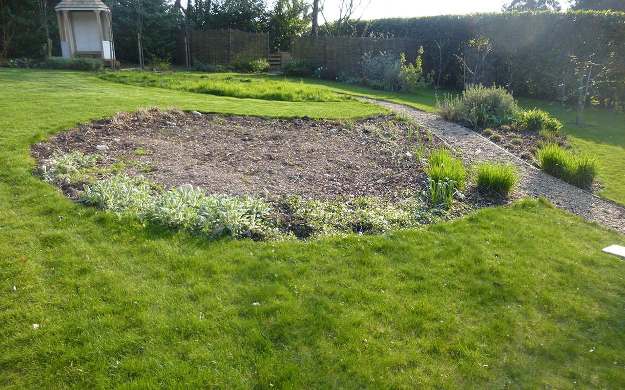 Before image of garden