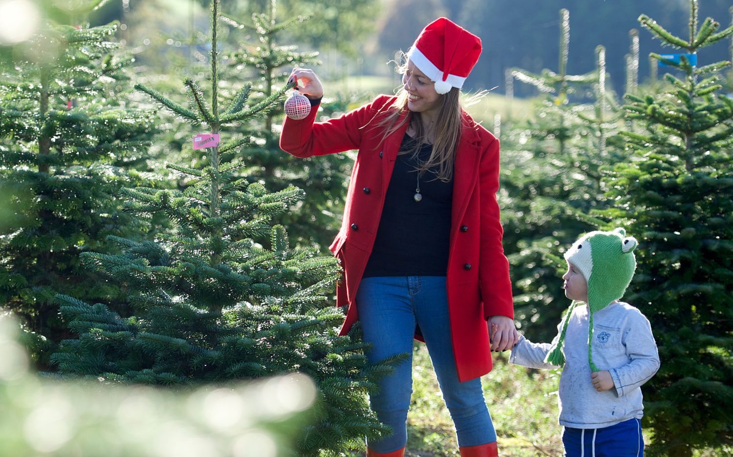 Christmas Trees