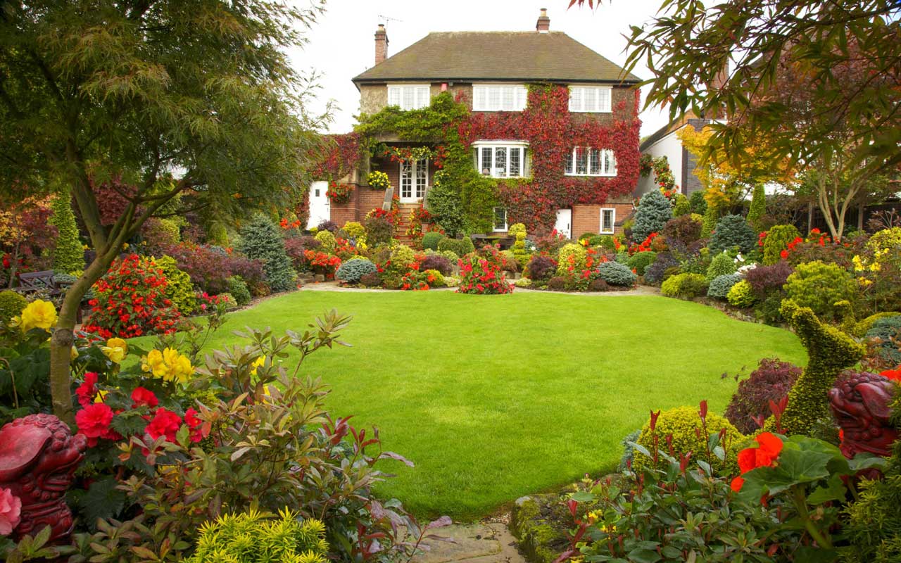 The Changes We’ve Seen in Gardening