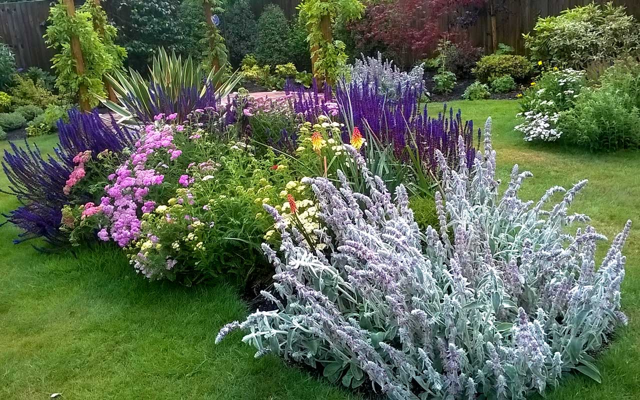 colourful flower bed